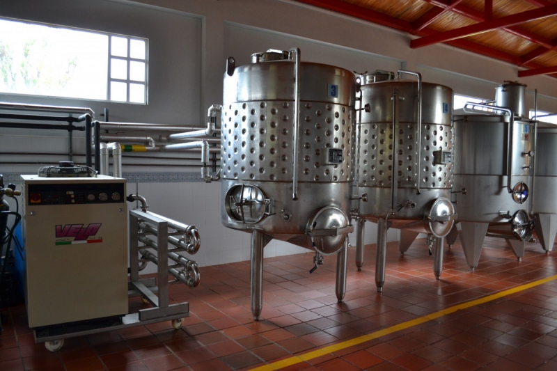 cave-ST RAPHAEL-min_wine_production_cantine_winery_drink_alcohol_vine_beverage-902036